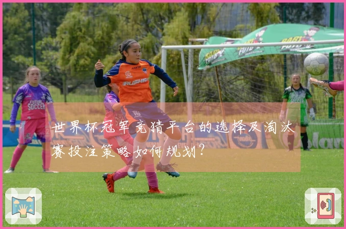 世界杯冠军竞猜平台的选择及淘汰赛投注策略如何规划？