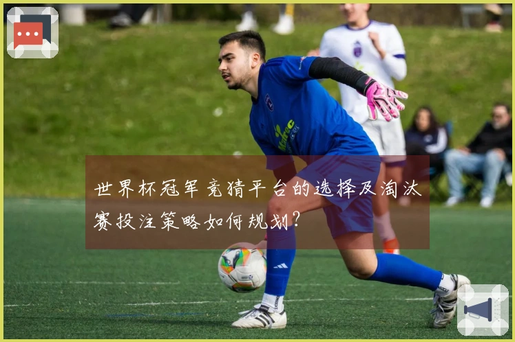 世界杯冠军竞猜平台的选择及淘汰赛投注策略如何规划？